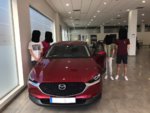 coche.jpg