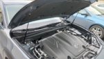 IMG_20210112_123605.jpg