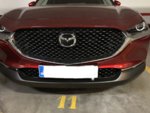 233A0EBB-886A-4EA3-9B0C-E0D41838D9D8.jpeg