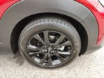 IMG_20220122_152741_219.jpg