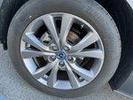 IMG_3091.jpg