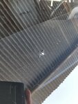 IMG_20220617_112336.jpg