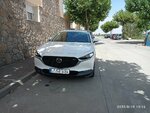 IMG_20220810_131649~2.jpg