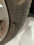 IMG_20230609_150320.jpg