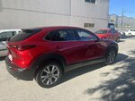 IMG_3337.jpeg