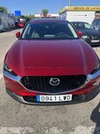 IMG_3340.jpeg