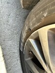 IMG_5537.jpeg