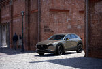 mazda_cx-30_nagisa.jpg mazda_cx-30_nagisa.jpg