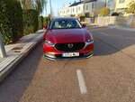 IMG_20231117_170932.jpg