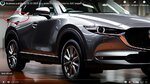 nervio CX-3.jpg