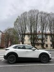 IMG_2985.jpeg
